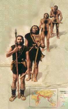 LA EVOLUCION HUMANA